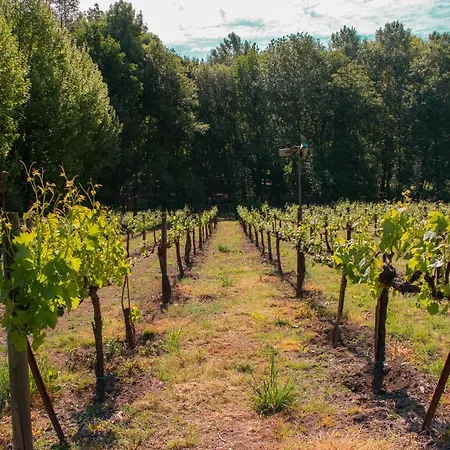 Quinta De Requeixo *