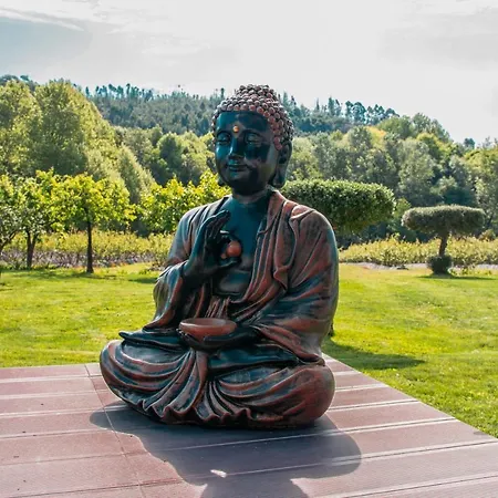 Quinta De Requeixo Séjour à la ferme *