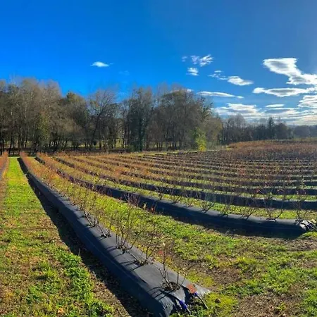 Quinta De Requeixo Séjour à la ferme *