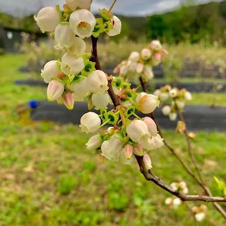 Quinta De Requeixo *