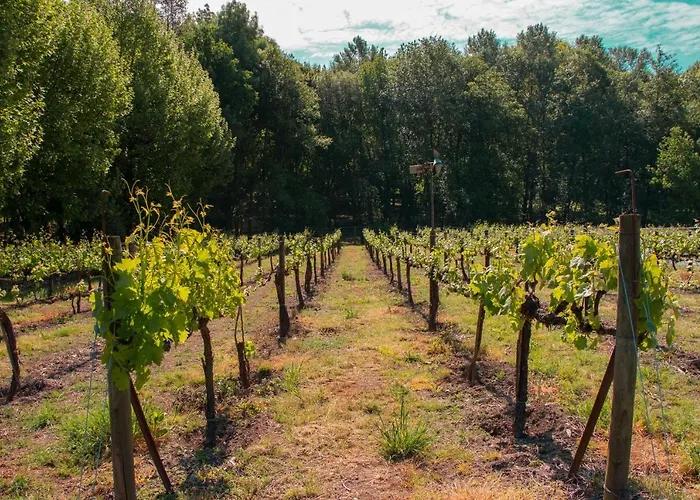 Quinta De Requeixo *