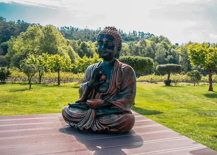 Quinta De Requeixo Farm stay *