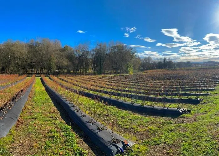 Quinta De Requeixo Farm stay *