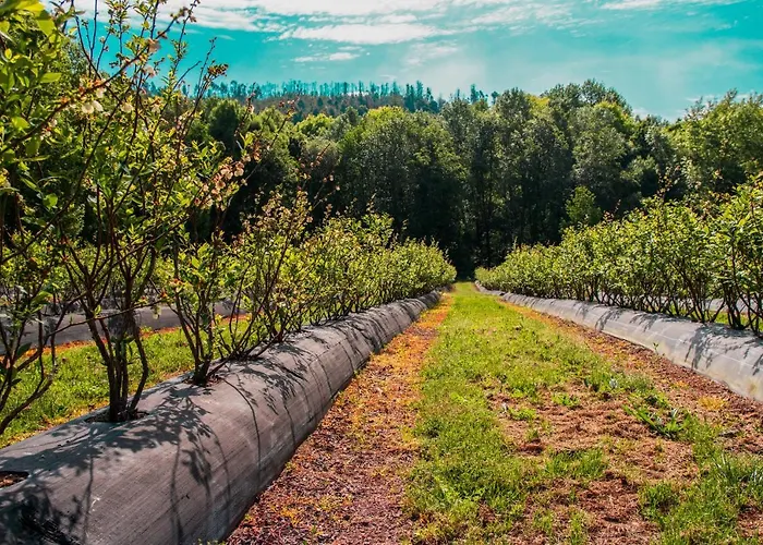 Quinta De Requeixo *